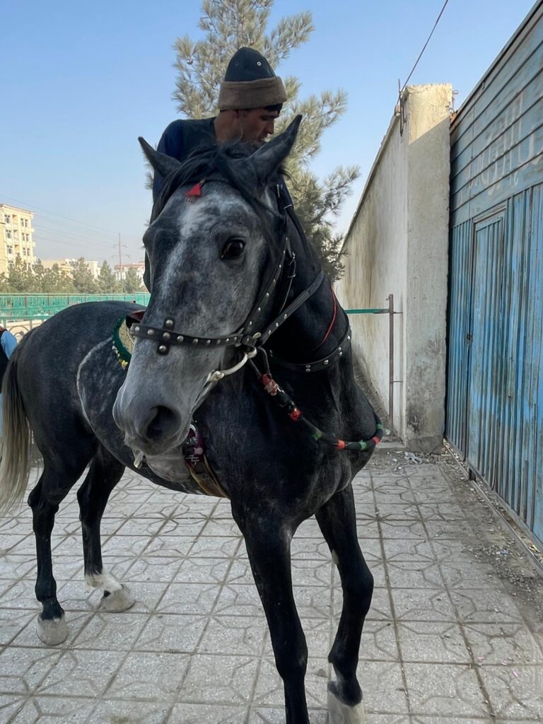 A man on horseback arrives at the buzkashi ground in Mazar-i-Sharif, Afghanistan, ahead of a game.