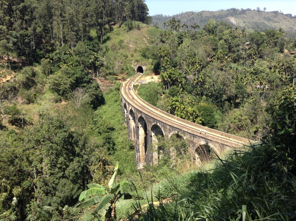 Trees surrounding the Nine Arch Bridge in Ella, Sri Lanka.