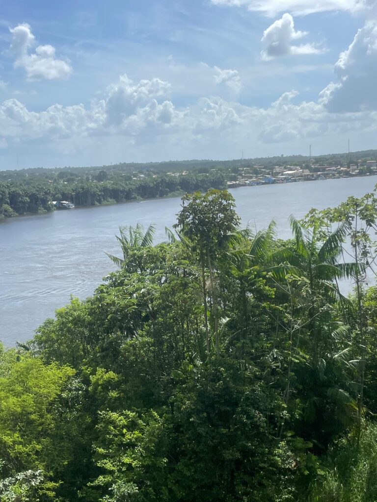 Trees in front of the Oyapok River which separates French Guiana from Brazil