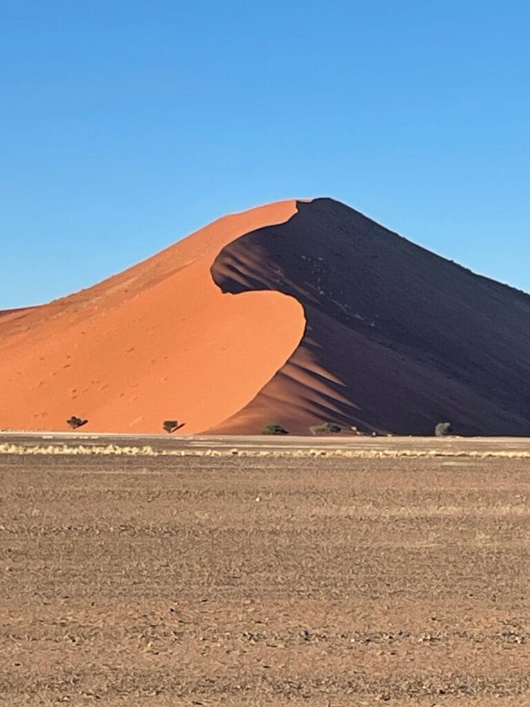 Sand dunes at sunrise in the Namib Desert, with one side covered in shade.