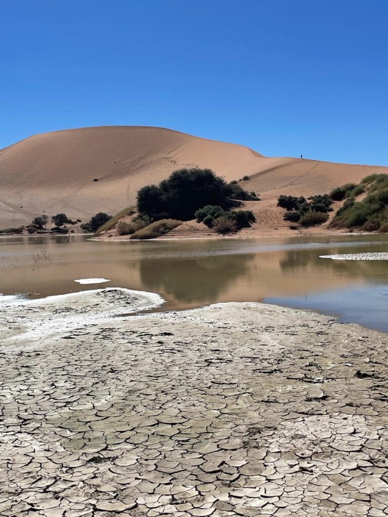 Sossusvlei in the Namib Desert.