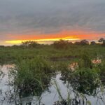 The sun setting over Bolivia's Pampas: a wet marshland through crocodile-infested waters.