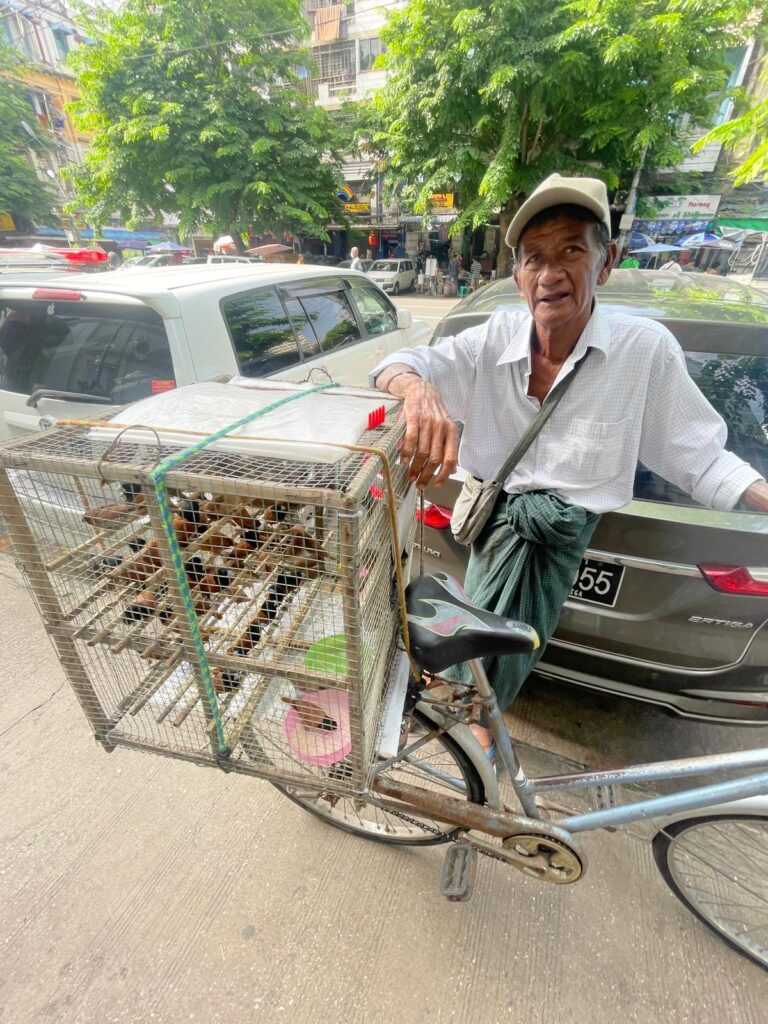 The birdman of Myanmar