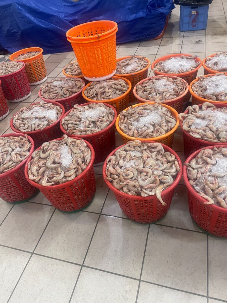Buckets of prawns in the fish market