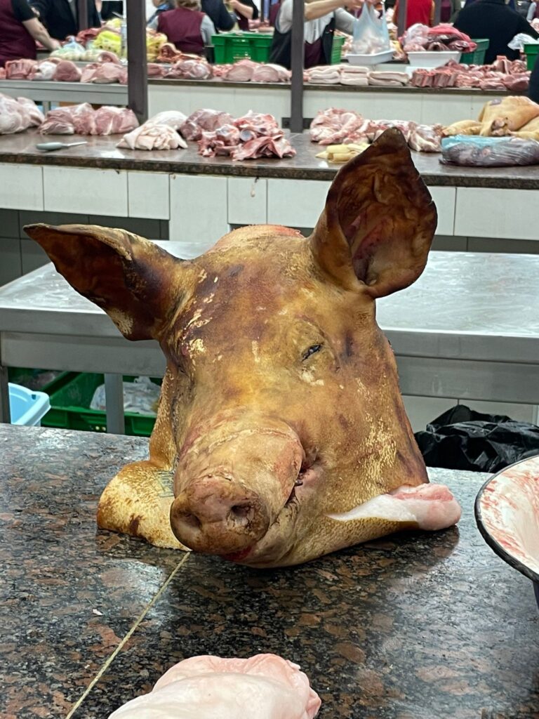 Severed pig's head in Green Market