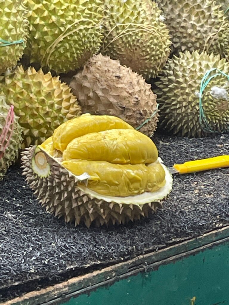 The durian is by far the most infamous fruit you will encounter whilst visiting Malaysia