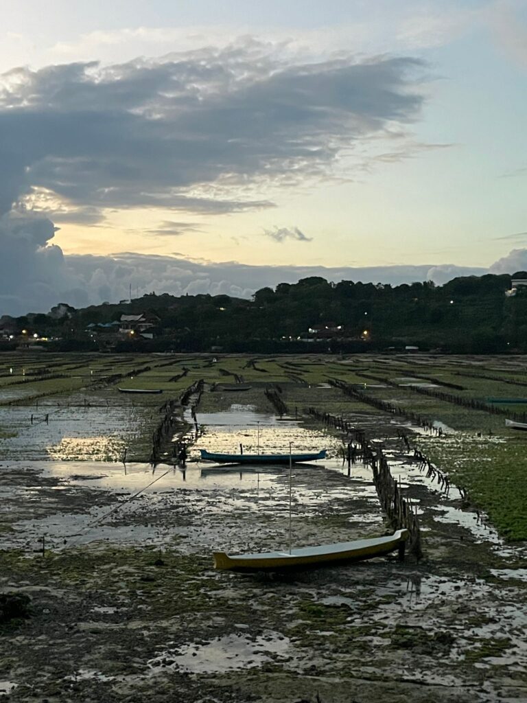 Nusa Ceningan tide flats weren't what we expected whilst visiting Bali