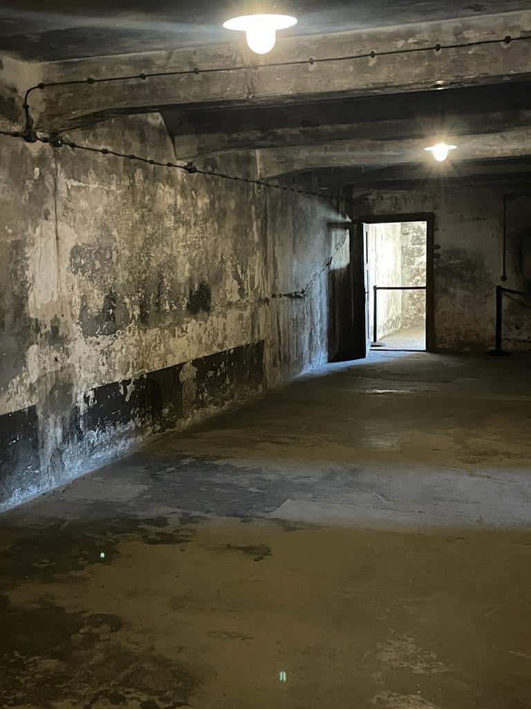Inside the gas chamber