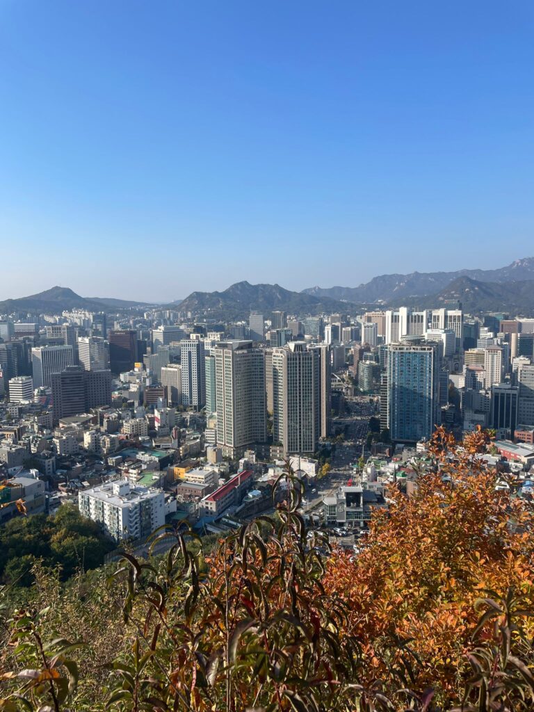 Seoul from the base of Namsan Tower. This picture was taken during the autumn, with brown foliage visible at the bottom of the picture. There are several skyscrapers in the city with mountains in the background