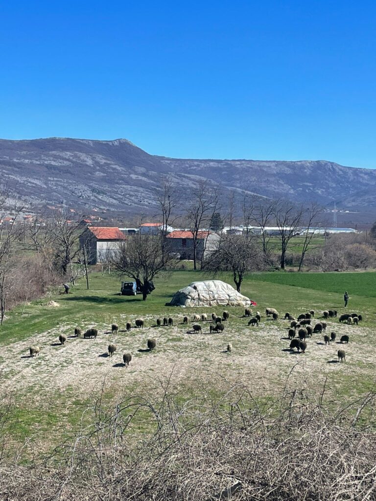 One of my first views when visiting Bosnia Herzegovina 