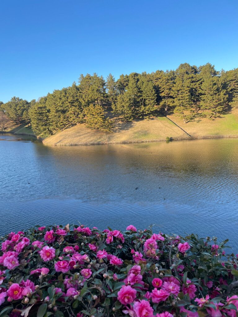 Moat surrounding the Imperial Palace