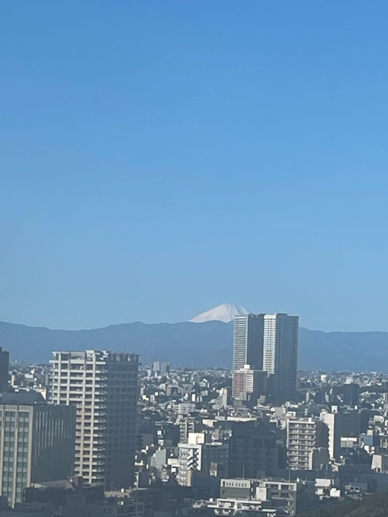 Mount Fuji views from Shinagawa Prince Hotel