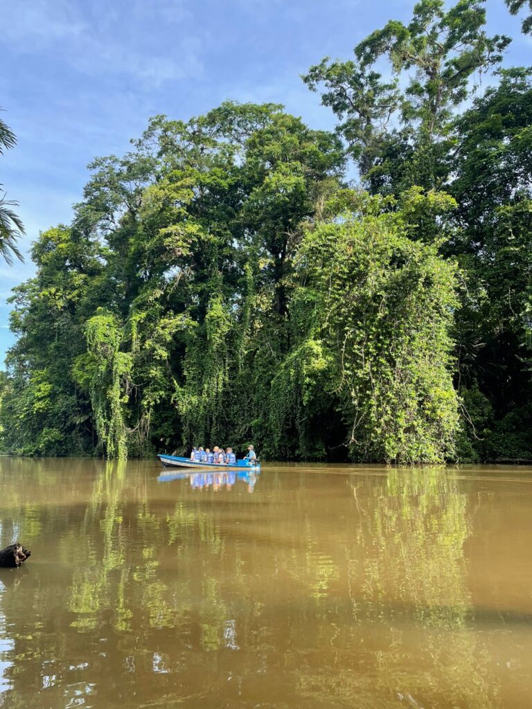 A boat going through the brown rivers of Tortuguero in Costa Rica, with the green trees of the jungle in the background