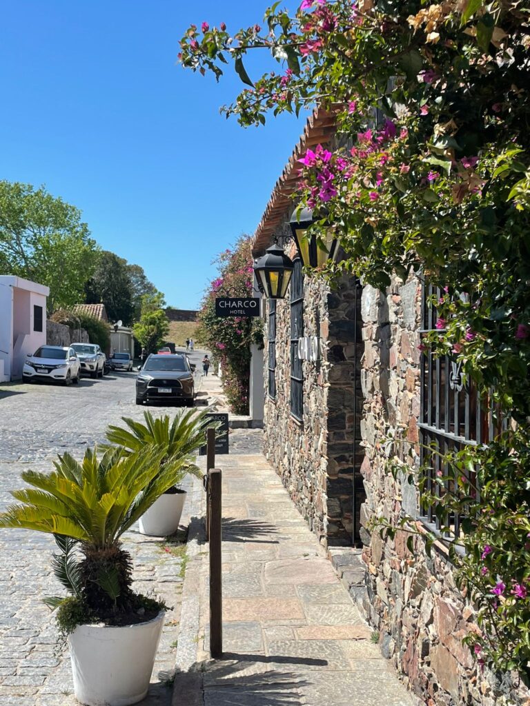 The Charco Hotel in Colonia, complete with plants growing all around the brickwork