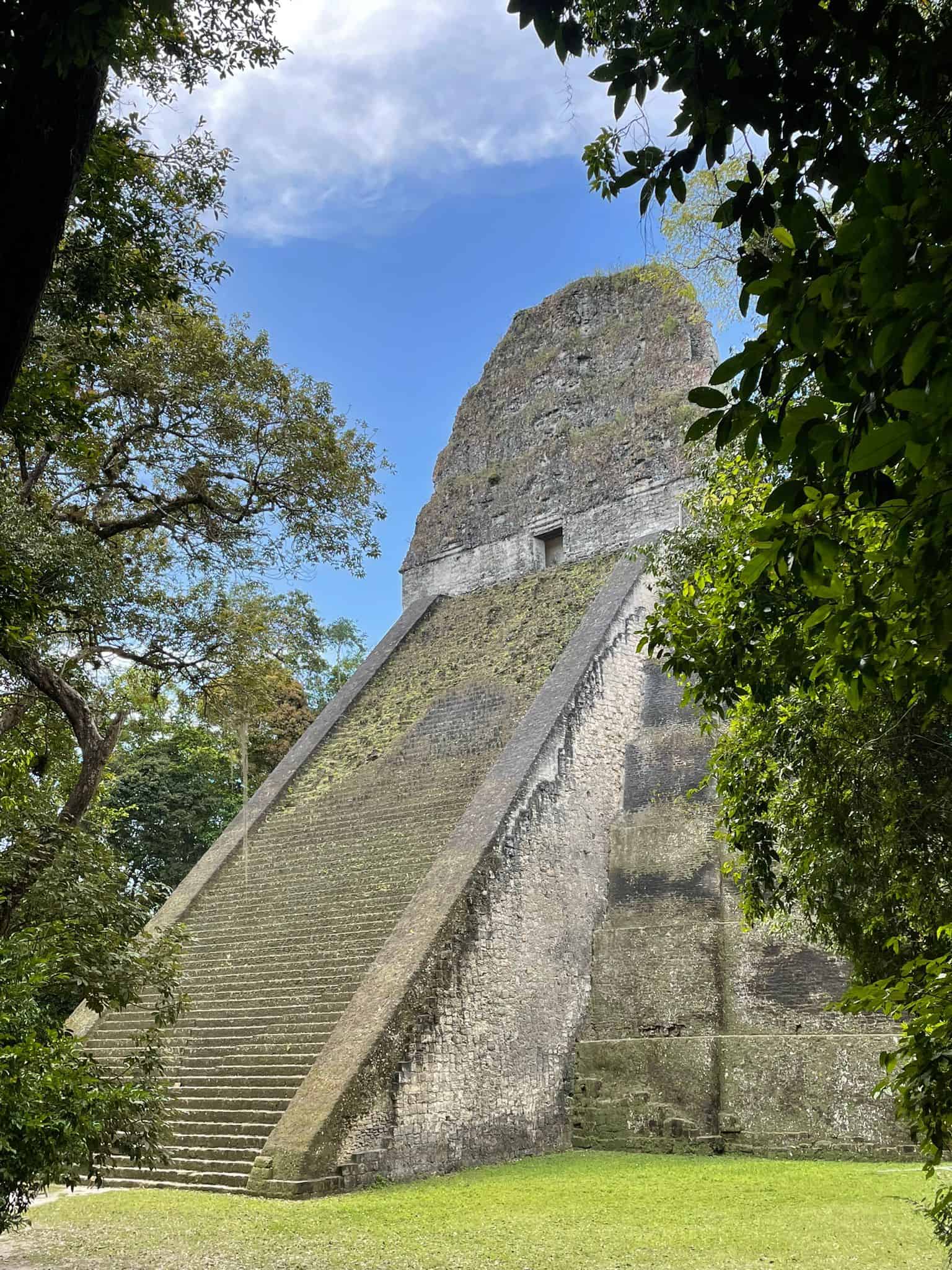 Temple V at Tikal, a large Mayan ruin site in Guatemala and a key Central America bucket list item The image shows the temple standing tall between the trees which make up the surrounding jungles, with bright blue sky above.