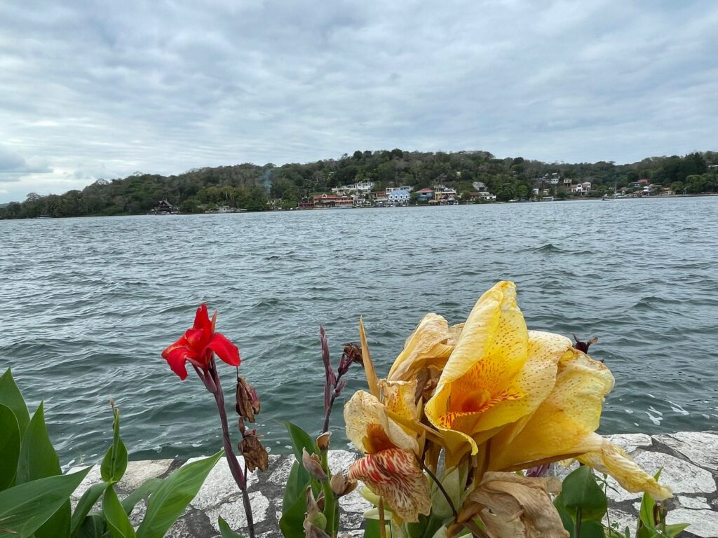 Red and yellow flowers by the lake at Flores in Guatemala