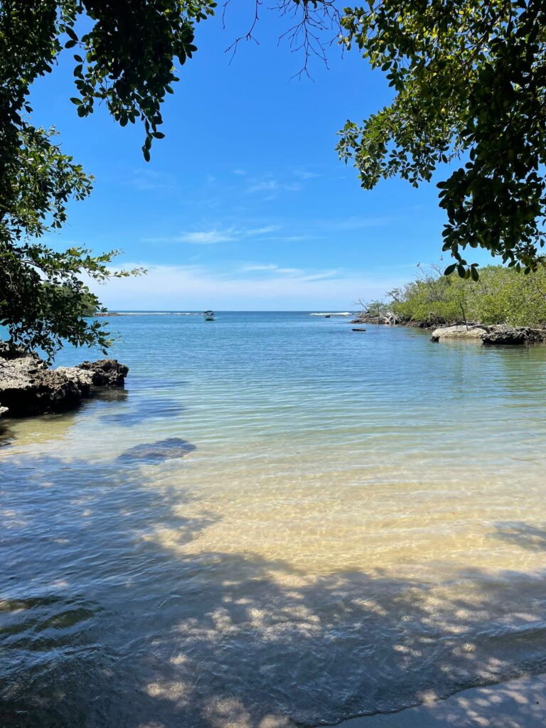 A yellow beach with clear waters surrounded by the green trees of Bastimentos Island, one of the highlights of any 3 month Central America itinerary