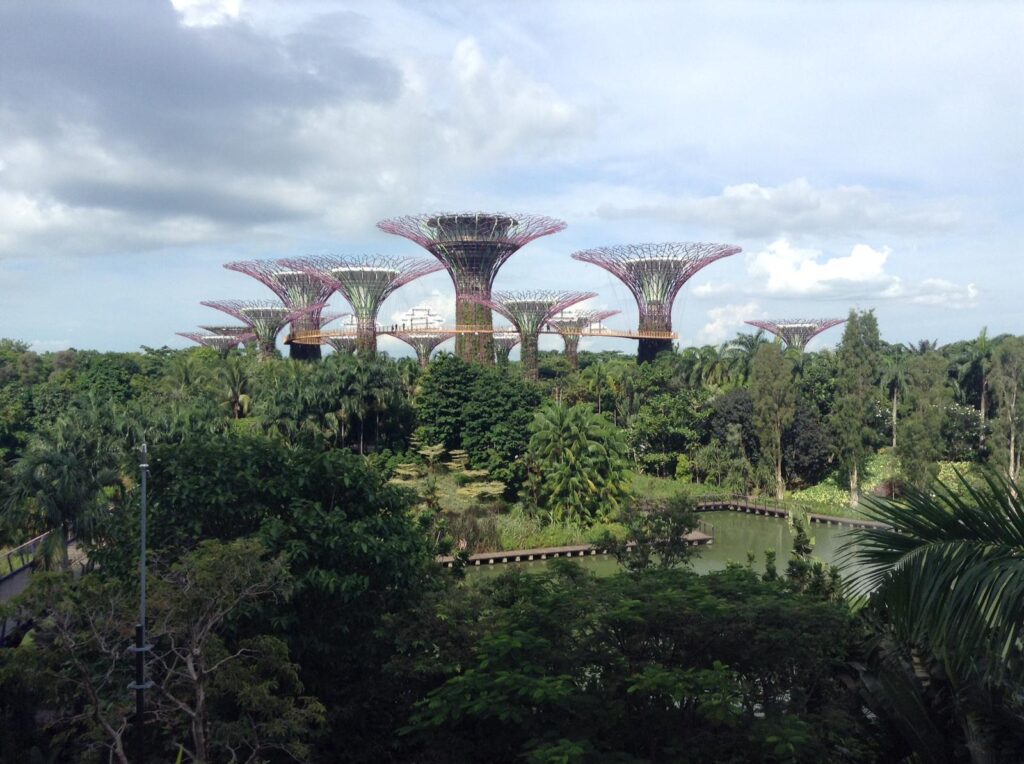 Several purple artificial trees standing over numerous real trees at Singapore's Gardens by the Bay