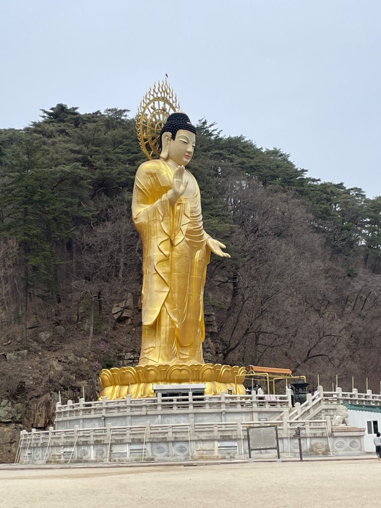 The 33m-tall Golden Maitreya Buddha Statue standing in front of a series of trees growing from the mountains at Beopjusa Temple in South Korea