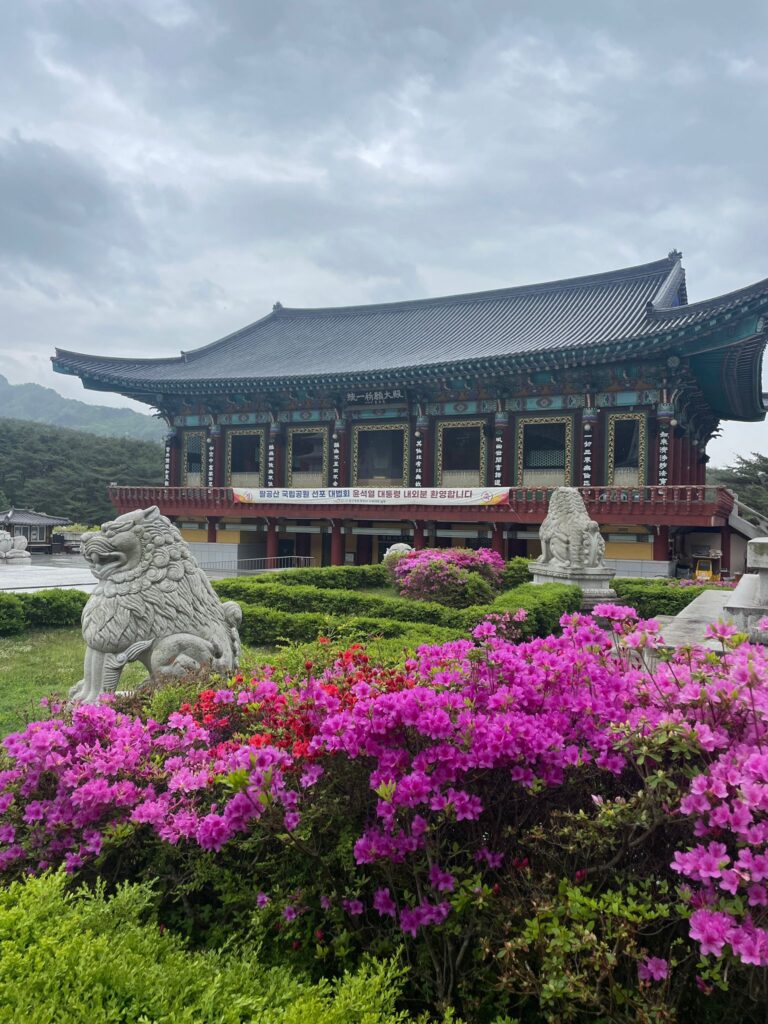 Donghwasa Temple in Daegu. The temple is in the traditional Korean style with the lower part of the roof pointing outwards. In front of the temple are several pink flowers marking the start of spring, and a couple of lion statues. In the background you can see the tree-covered mountains stretching into the distance