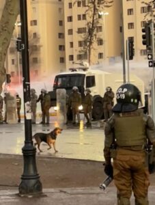 Riots in Santiago, Chile. You can see 9 police officers in riot gear facing forwards, all in green uniform, some with riot shields and batons. A 10th man stands with his back to the camera whilst a police dog roams around the road. A large water cannon is going off in the background.