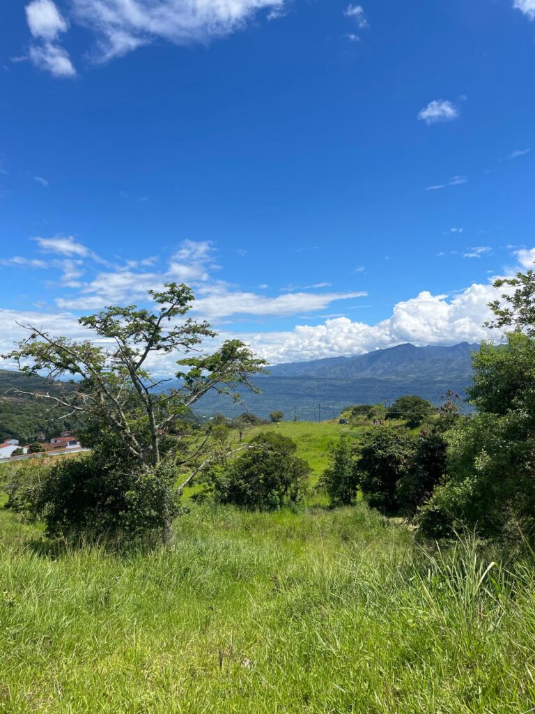Green fields and bright blue skies with several white clouds. This was between the small towns of Barichara and Guane in Colombia
