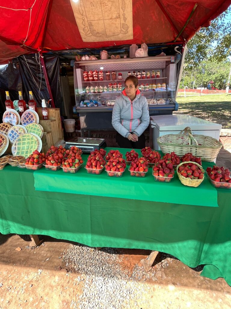 A lady in Aregua, Paraguay, selling several strawberry products, with strawberries all across the front counter, strawberry pies and liquor to the left, and strawberry ice creams in the fridge behind the lady