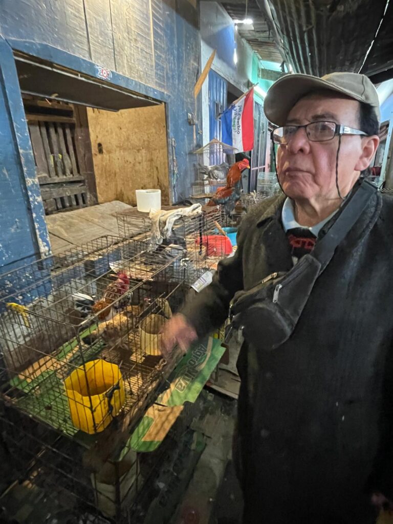 A man selling a series of caged birds at Mercado 4 in Asuncion, Paraguay