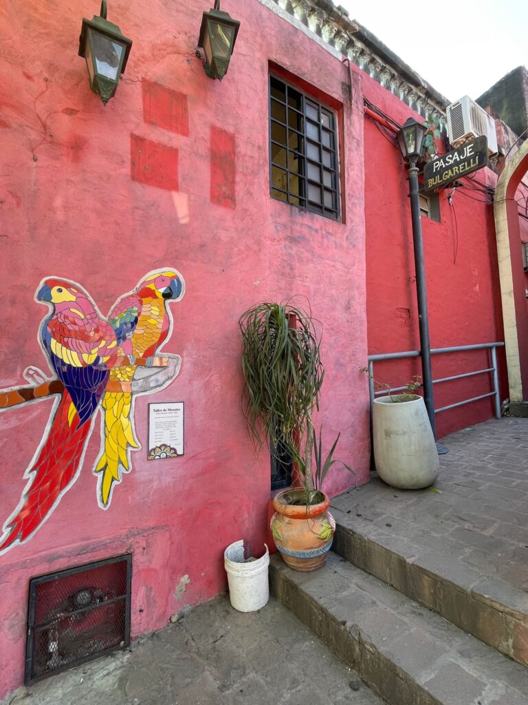 An image of two parrots alongside a potted tree and a lamppost which says "Pasaje Bulgarelli" in the vibrant Asuncion neighbourhood of Loma San Jeronimo