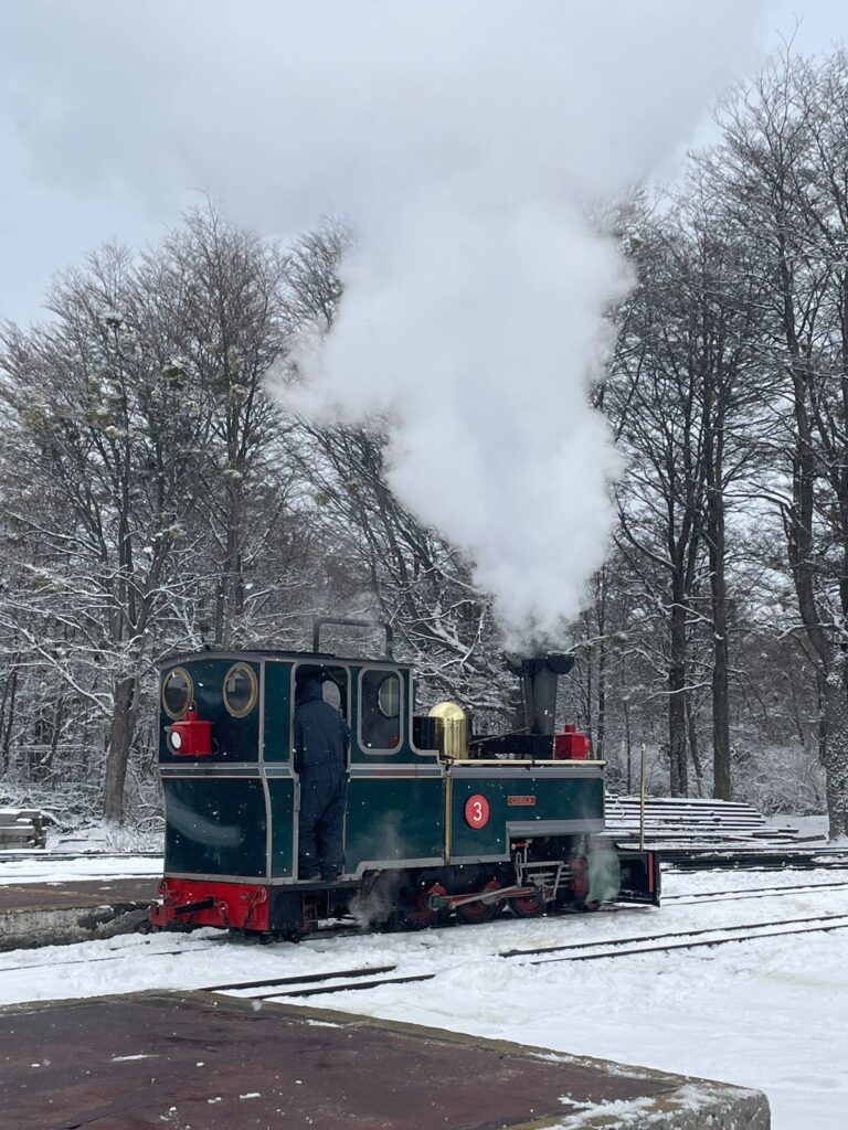 The End of the World Train in Ushuaia. It's a green-coloured steam engine with lots of steam coming out, as it travels through the snowy trees