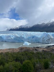 Perito Moreno Glacier at Los Glaciares National Park in Argentinian Patagonia, near El Calafate. You can see the large glacier between snowy mountains in the background and greenery in the front of the image