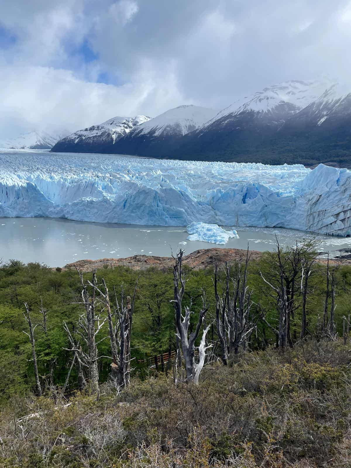 Perito Moreno Glacier in Argentina. The giant icy glacier sits between green grassland in the foreground of the image, and snow-capped mountains in the background.