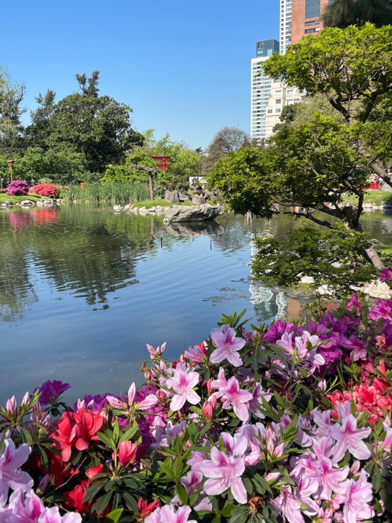 A pond surrounded by pink, red and purple flowers as well as green trees at Buenos Aires' Jardin Japones