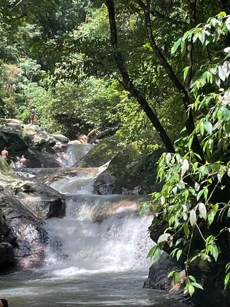 A waterfall hidden amongst the trees in Minca, Colombia